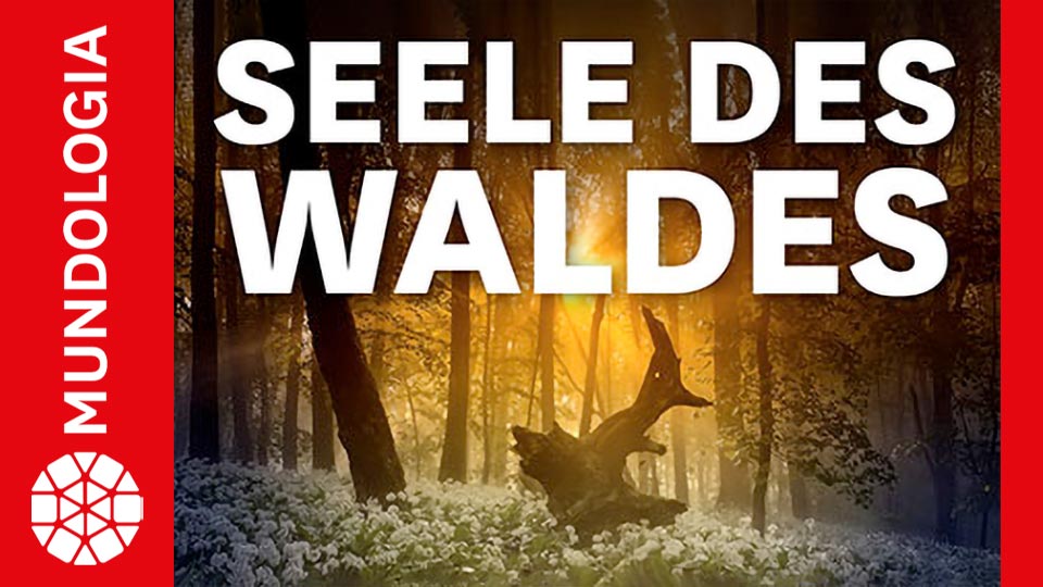 Mundologia Vortrag Seele des Waldes